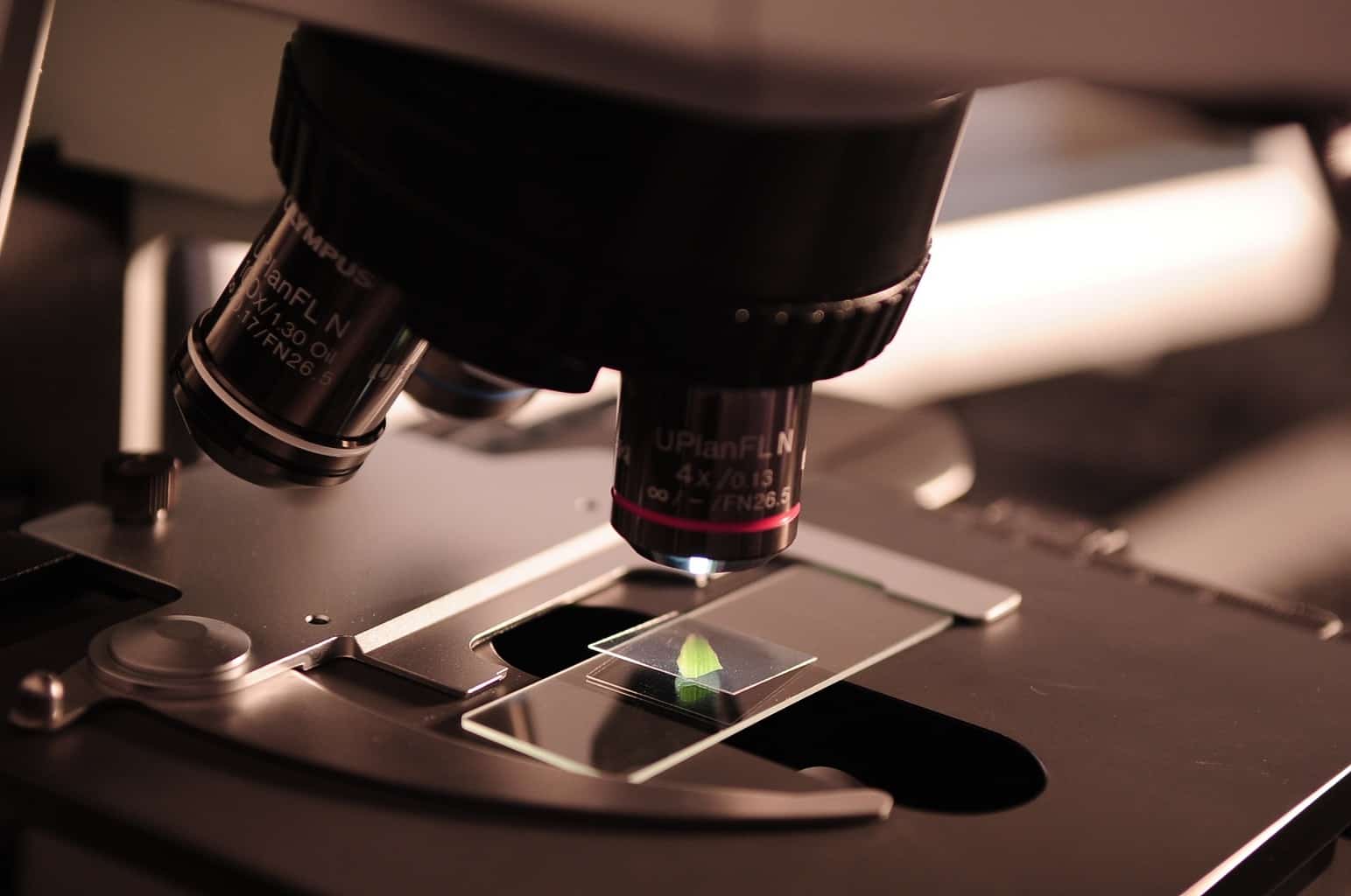 how-tech-is-helping-trace-covid-19