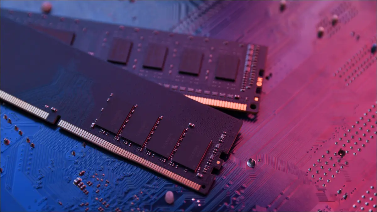 ram